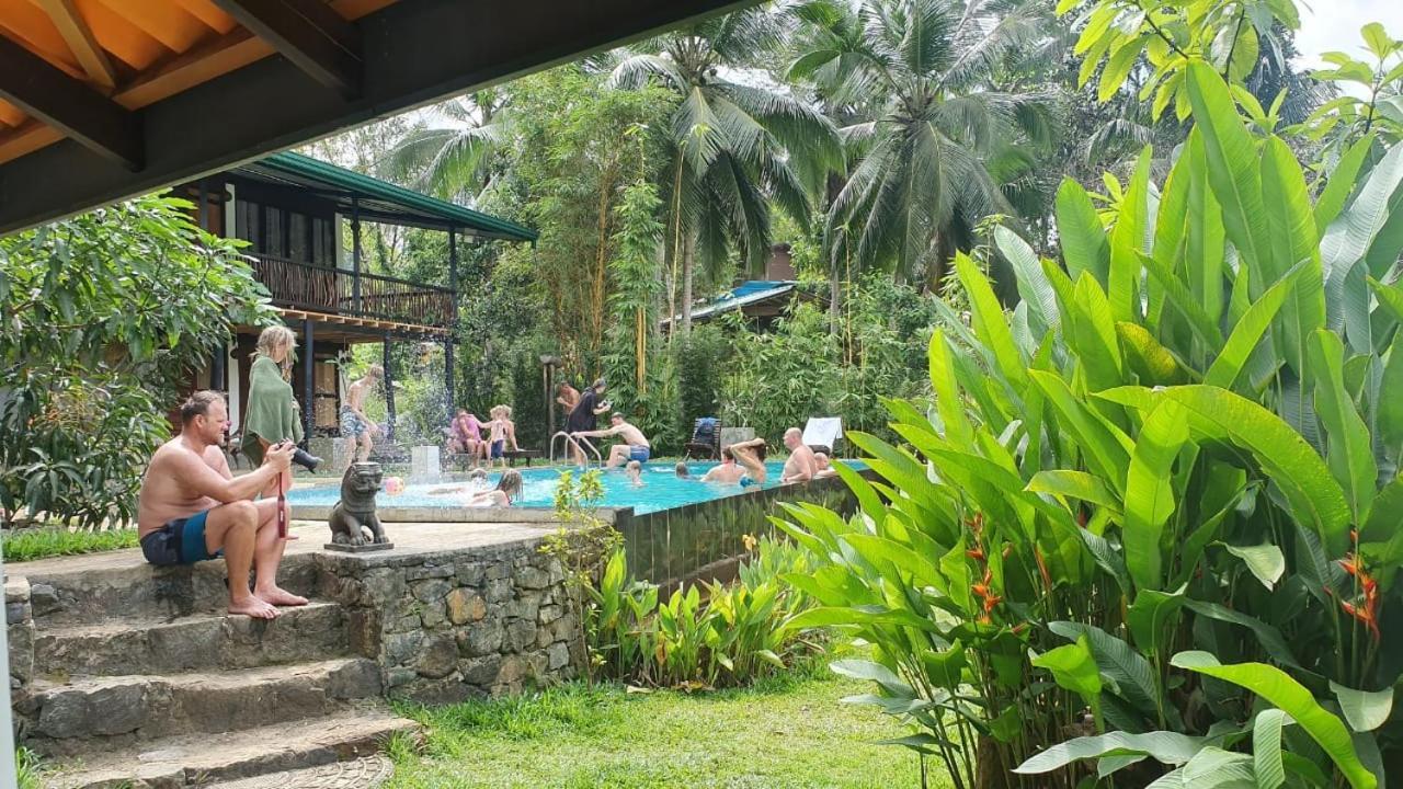 Explore Sinharaja Rain Forest Tour Camp Dombagoda Buitenkant foto