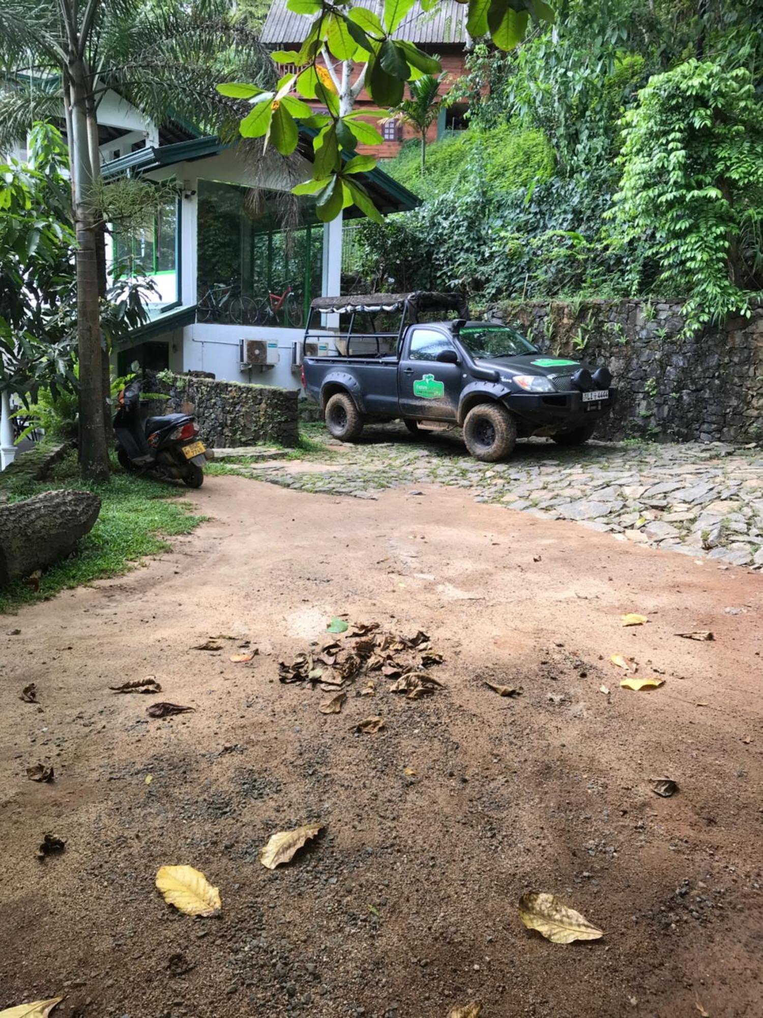 Explore Sinharaja Rain Forest Tour Camp Dombagoda Buitenkant foto