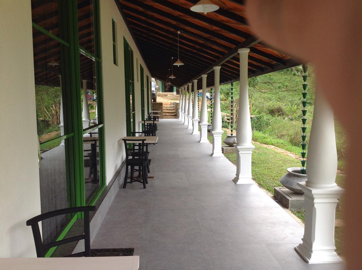 Explore Sinharaja Rain Forest Tour Camp Dombagoda Buitenkant foto