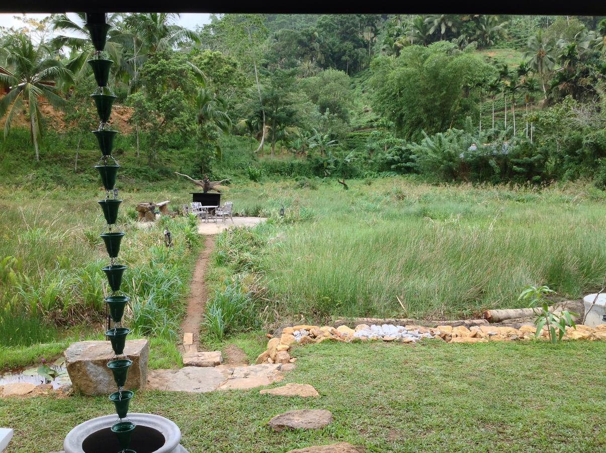 Explore Sinharaja Rain Forest Tour Camp Dombagoda Buitenkant foto