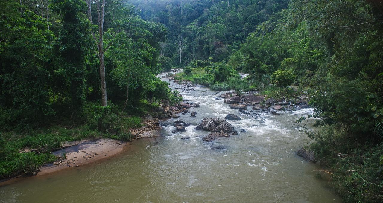 Explore Sinharaja Rain Forest Tour Camp Dombagoda Buitenkant foto