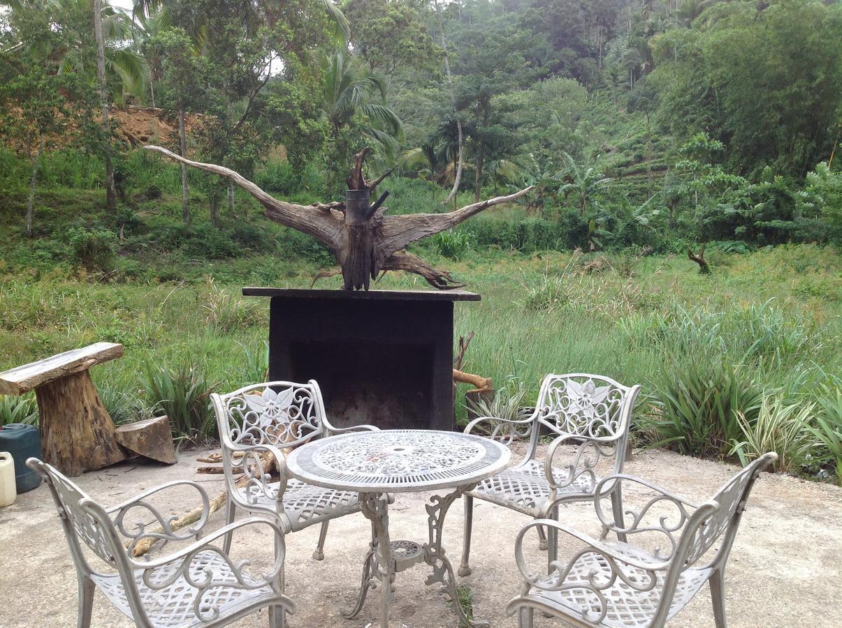 Explore Sinharaja Rain Forest Tour Camp Dombagoda Buitenkant foto