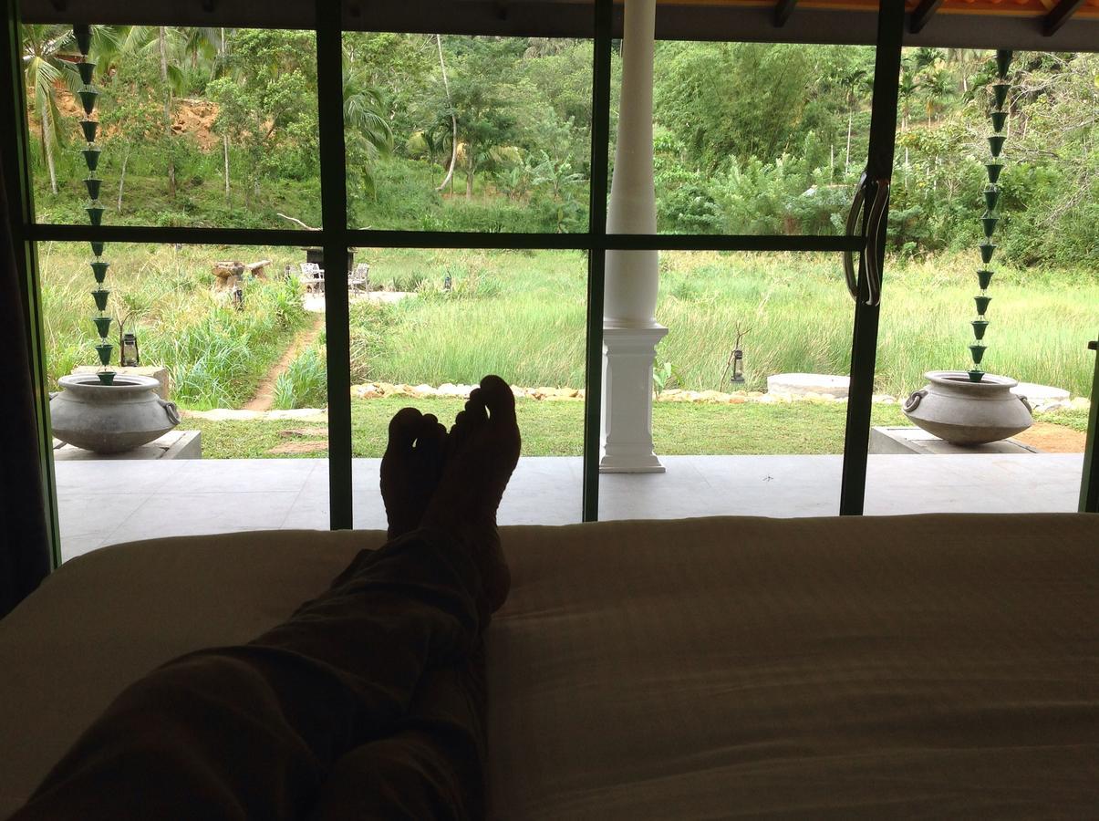 Explore Sinharaja Rain Forest Tour Camp Dombagoda Buitenkant foto