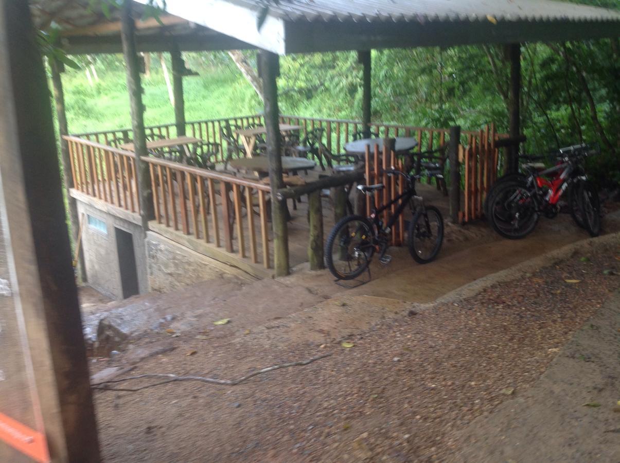 Explore Sinharaja Rain Forest Tour Camp Dombagoda Buitenkant foto