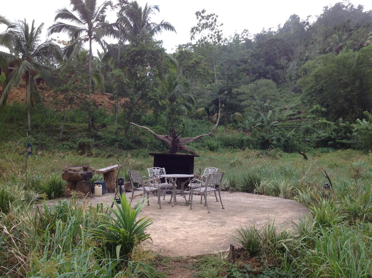 Explore Sinharaja Rain Forest Tour Camp Dombagoda Buitenkant foto