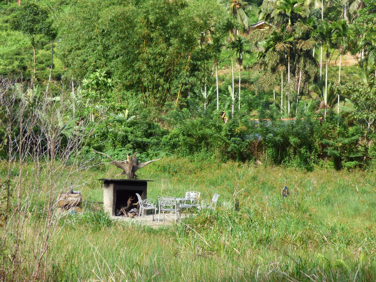 Explore Sinharaja Rain Forest Tour Camp Dombagoda Buitenkant foto