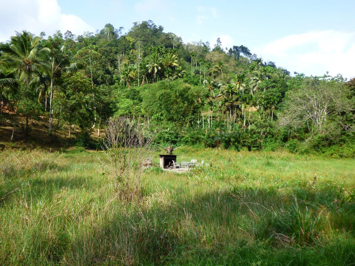 Explore Sinharaja Rain Forest Tour Camp Dombagoda Buitenkant foto