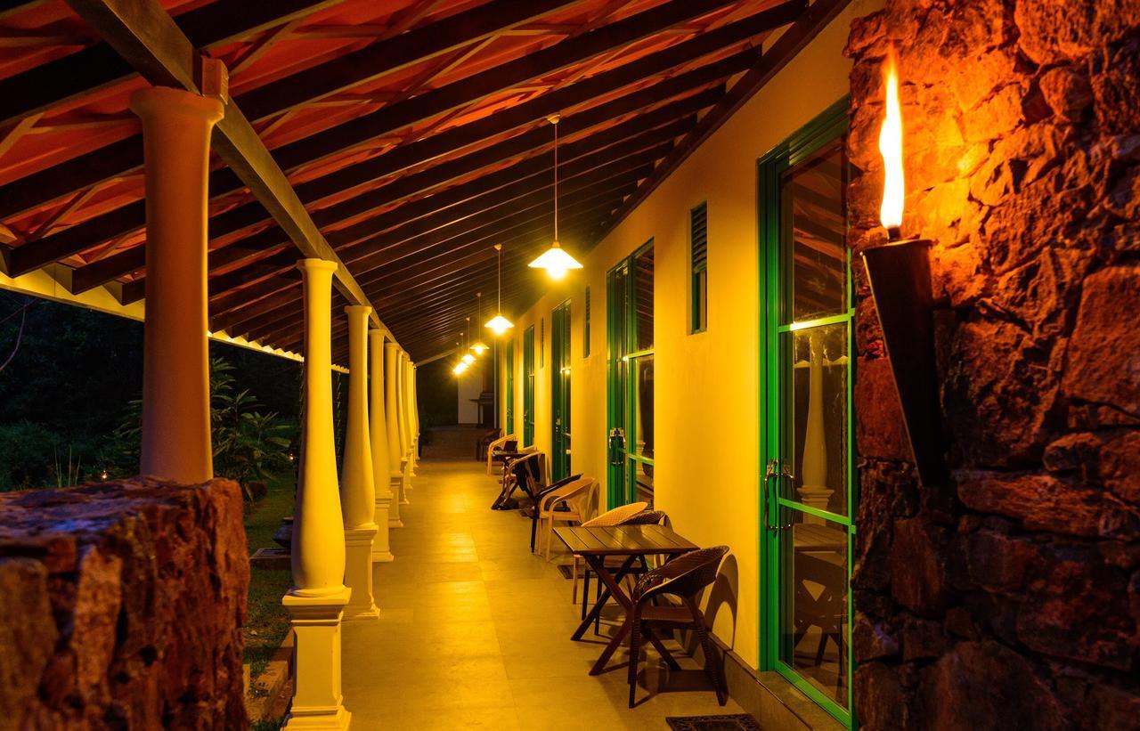 Explore Sinharaja Rain Forest Tour Camp Dombagoda Buitenkant foto