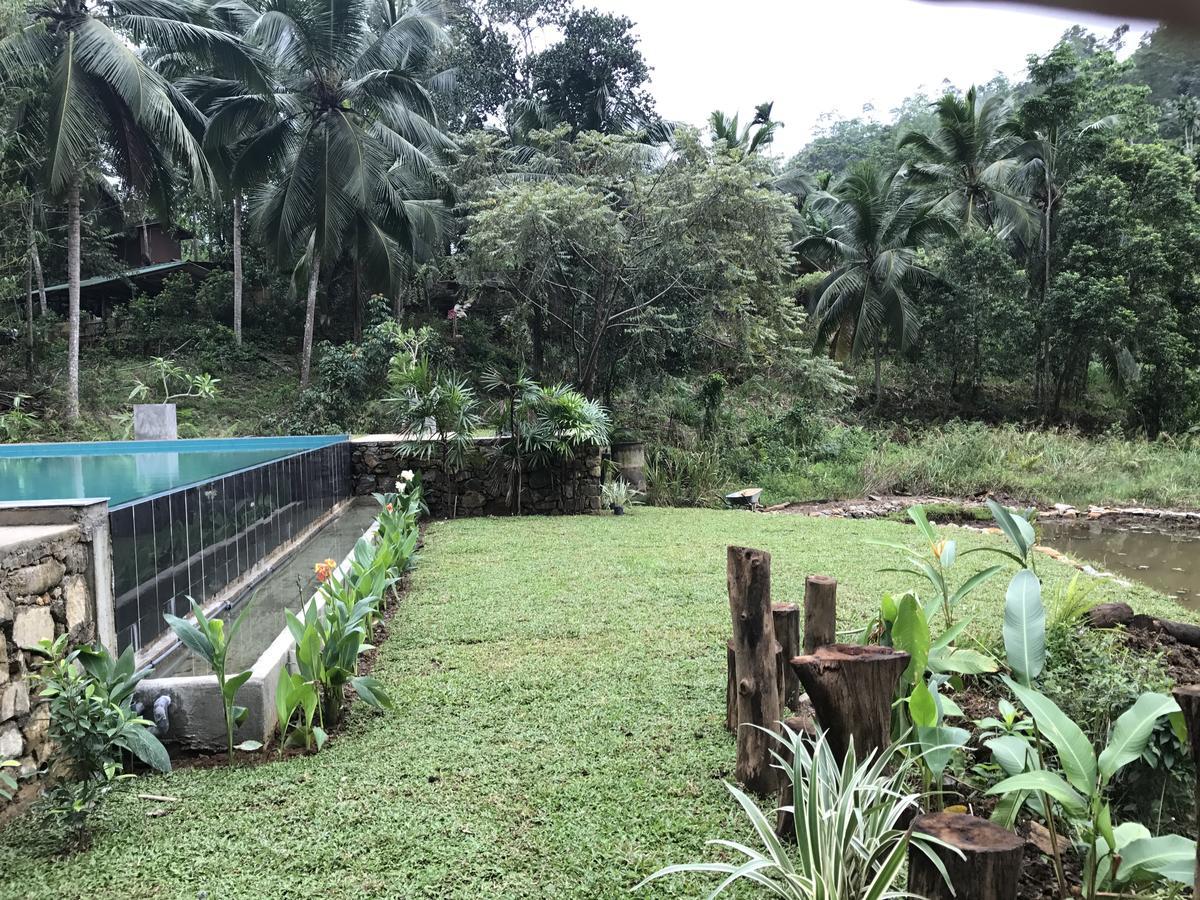 Explore Sinharaja Rain Forest Tour Camp Dombagoda Buitenkant foto