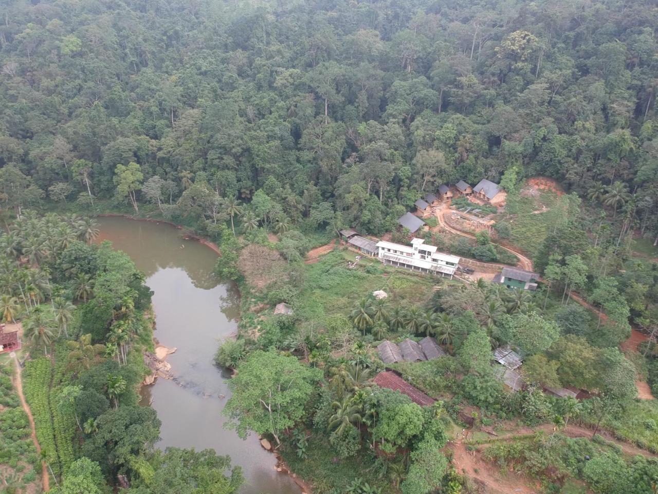 Explore Sinharaja Rain Forest Tour Camp Dombagoda Buitenkant foto