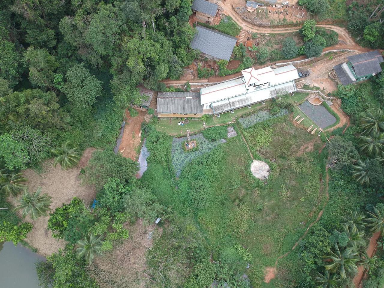 Explore Sinharaja Rain Forest Tour Camp Dombagoda Buitenkant foto