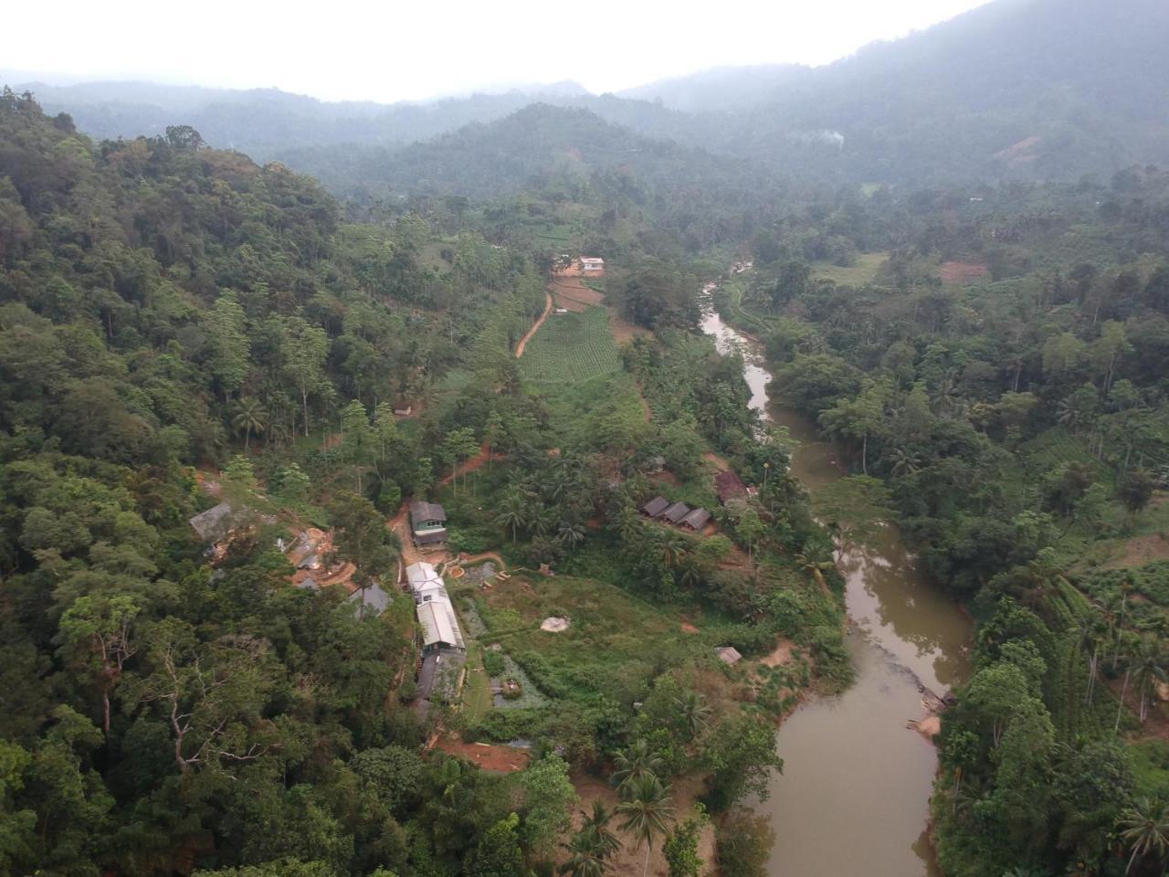 Explore Sinharaja Rain Forest Tour Camp Dombagoda Buitenkant foto